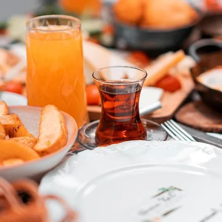 Hosca Kal Hotel